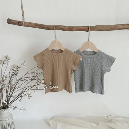 S9ed2ffd351214bb781e3a6254231d312n